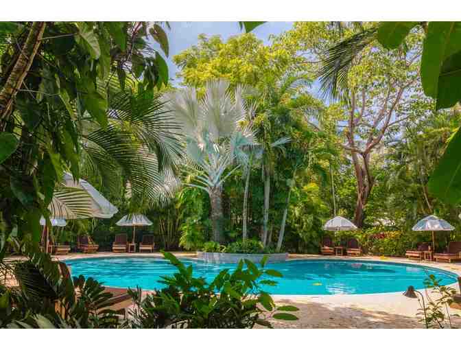 3 Night Stay at Harmony Hotel Including Breakfast and Yoga; Nosara, Costa Rica