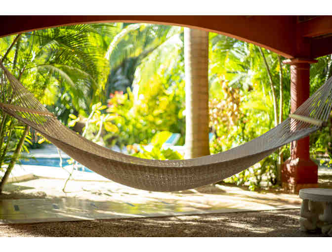 Surf, Yoga, and Nature! Enjoy a 4 night stay at Rip Jack Inn in Playa Grande, Costa Rica