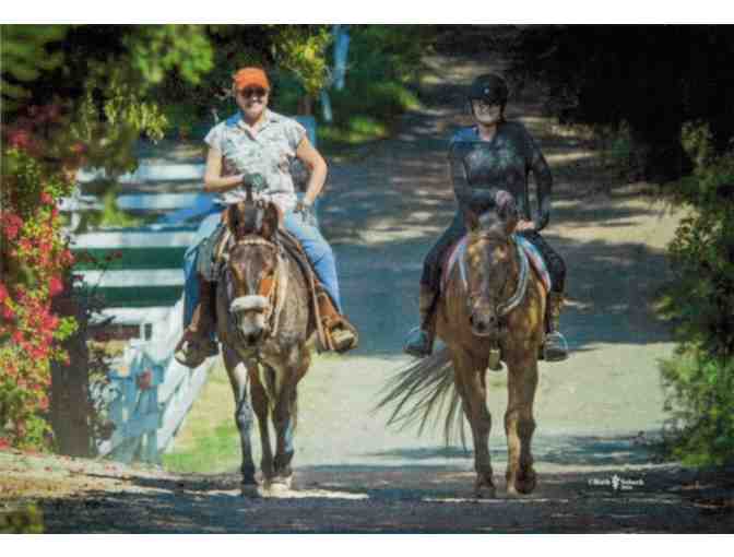 Horseback Ride in Palos Verdes and Picnic (For 1)