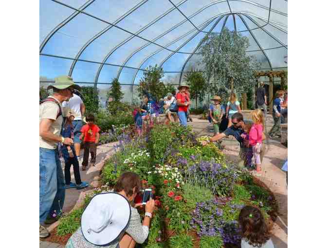 South Coast Botanic Garden and Picnic