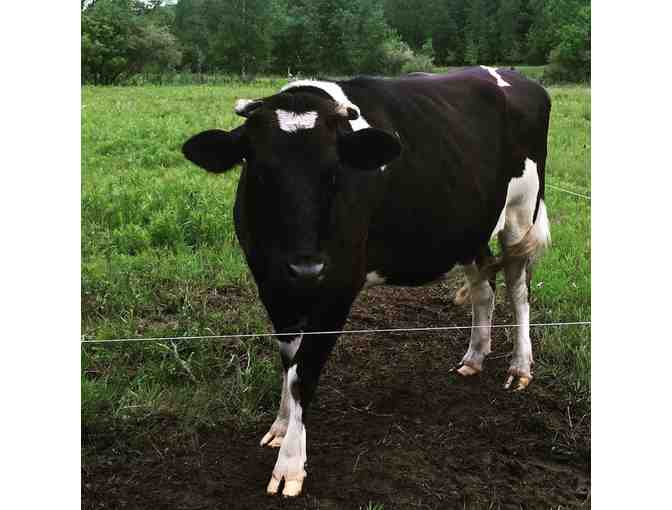 Sonny's Farm Tour and Butter Making Experience