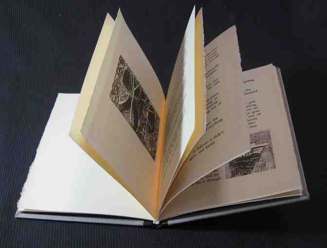 Killing the Bear: Limited Edition Handmade Book from Deep Wood Press