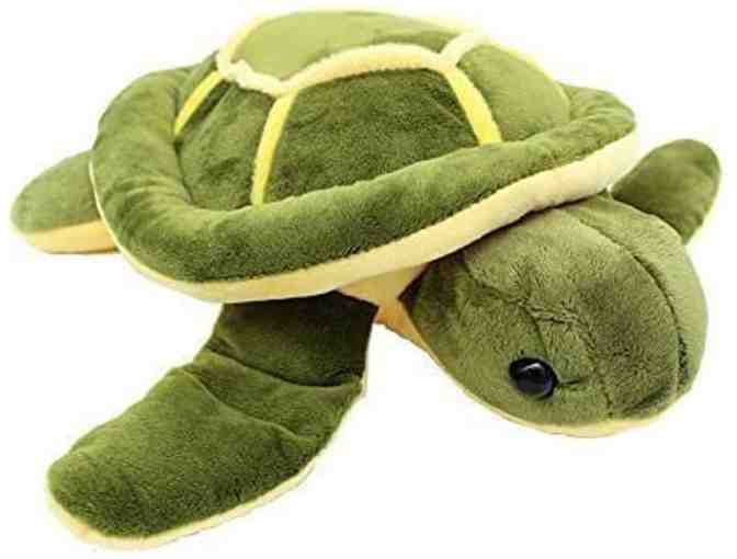 Sea Turtle Package