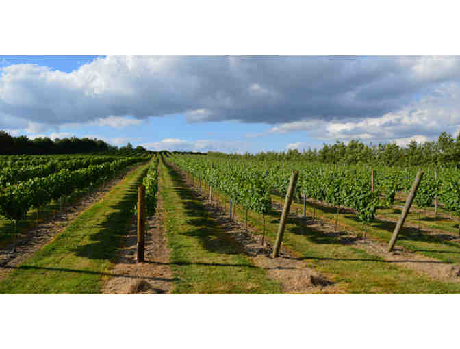 Tasting Flight for Four at Palmer Vineyards