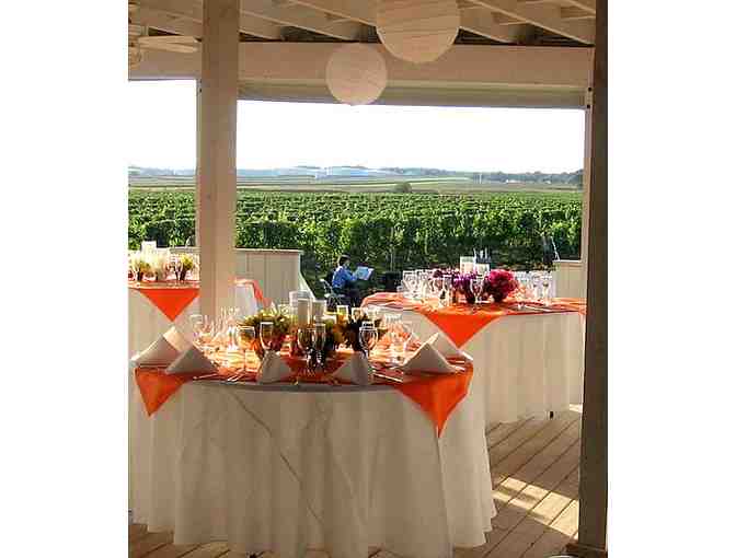 Tasting Flight for Four at Palmer Vineyards