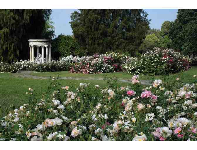 Tickets and Tea for Two at the Huntington Library, Art Collections, and Botanical Gardens