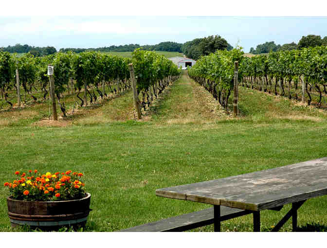 Tasting Flight for Four at Palmer Vineyards