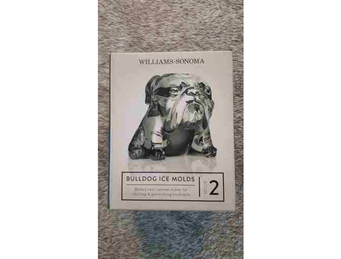 William Sonoma Bulldog Novelty Ice Mold, Set of 2