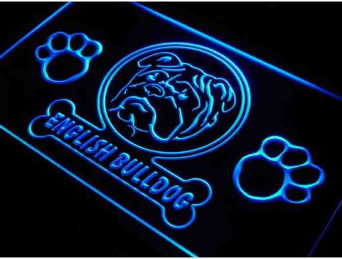 English Bulldog Paw Print Neon Light Sign - Blue