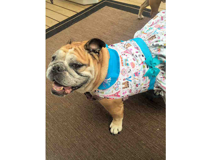 Custom Dress for your Dog - House of Henri Designs