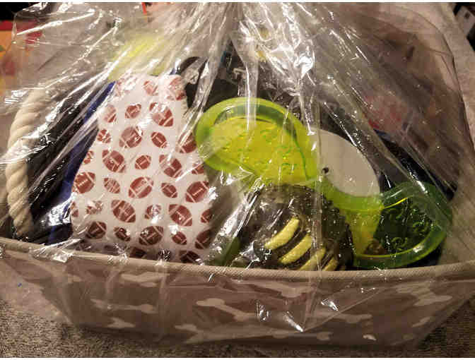 N.Y. Giants Pet Gift Basket