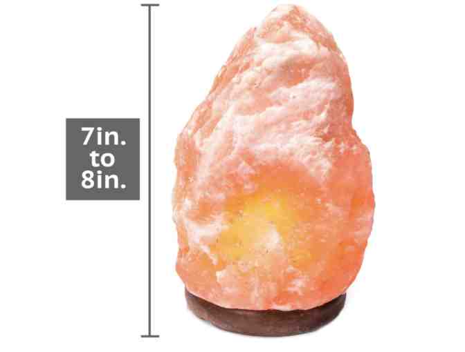 Crystal Allies Himalayan Salt Lamp #18