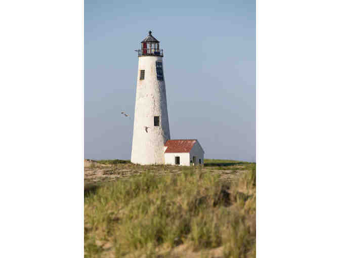 Private Natural History Tour of Coskata-Coatue Wildlife Refuge for 4 people - Nantucket