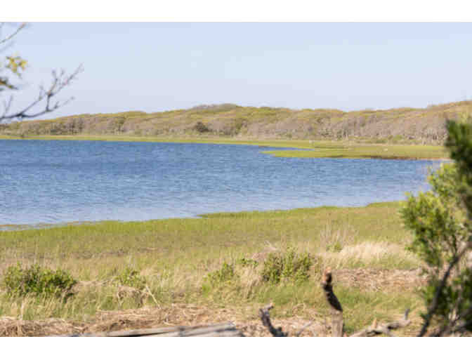 Private Natural History Tour of Coskata-Coatue Wildlife Refuge for 4 people - Nantucket