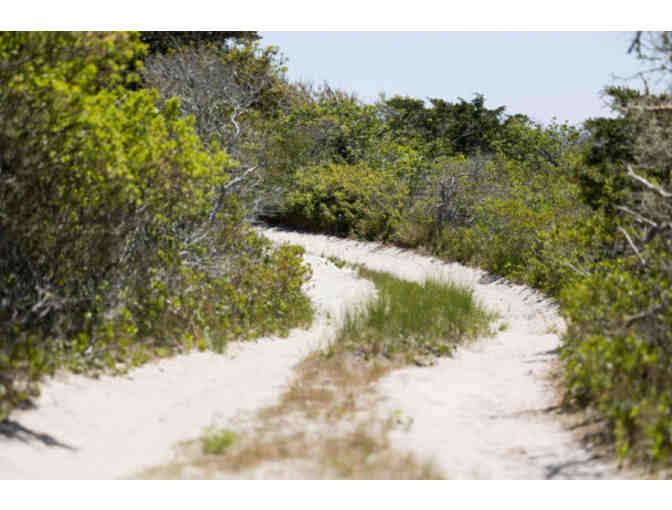 Private Natural History Tour of Coskata-Coatue Wildlife Refuge for 4 people - Nantucket