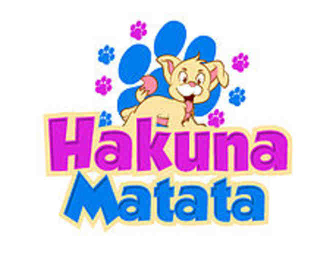 Dog Day Care Night Funstay and Self Serve Wash at Hukuna Matata in The Colony Tx