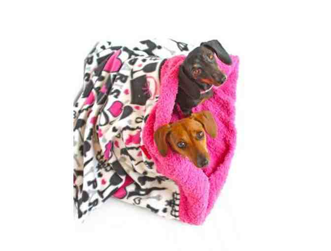 Paris Inspired Dog Snuggle Sack / Cuddle Cave Weenie Pocket
