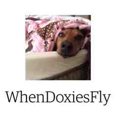 When Doxies Fly