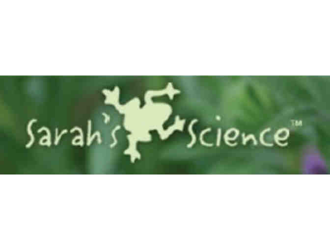 Sarah's Science: One Week Summer Camp for $100