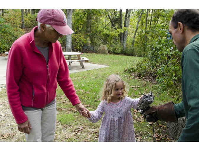 MEET KOKO, THE LLOYD CENTER'S RESIDENT SCREECH OWL