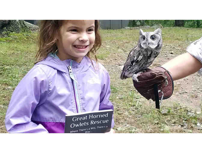 MEET KOKO, THE LLOYD CENTER'S RESIDENT SCREECH OWL