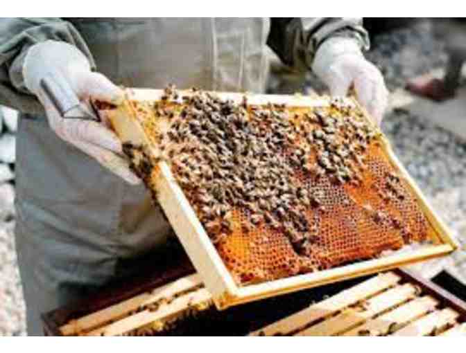 New-Bee Beginner Beekeeping Starter Kit
