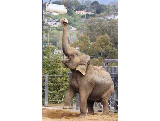 Santa Barbara Zoo Two (2) Guest Passes