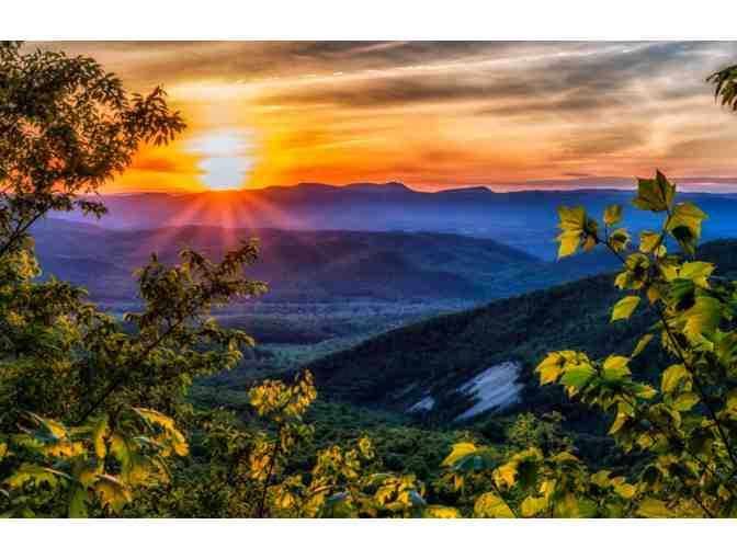 Guided Mountain Hike and Picnic in the Scenic Blue Ridge Mountains with Beth Silverman