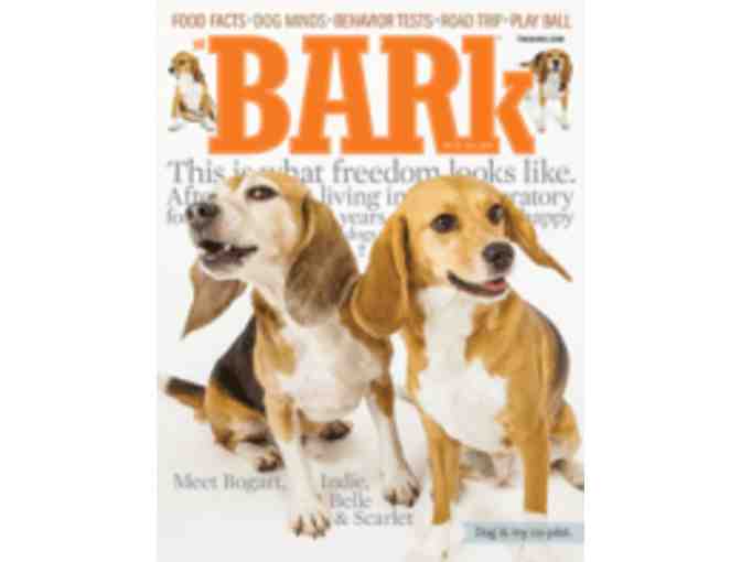 The Bark Magazine - 2 year subscription
