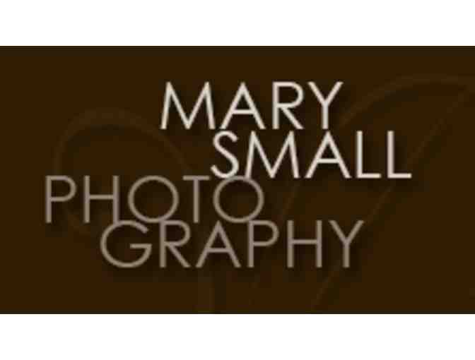 All for the Pets: Mary Small Pet Photography & George Pet Boutique Gift Certificate