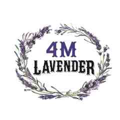 4M Lavender