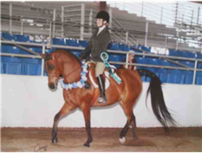 Two Riding Lessons from Platinum Performance Horses