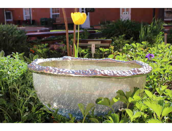 Mercury Glass Bowl filled with Sparkling Sake