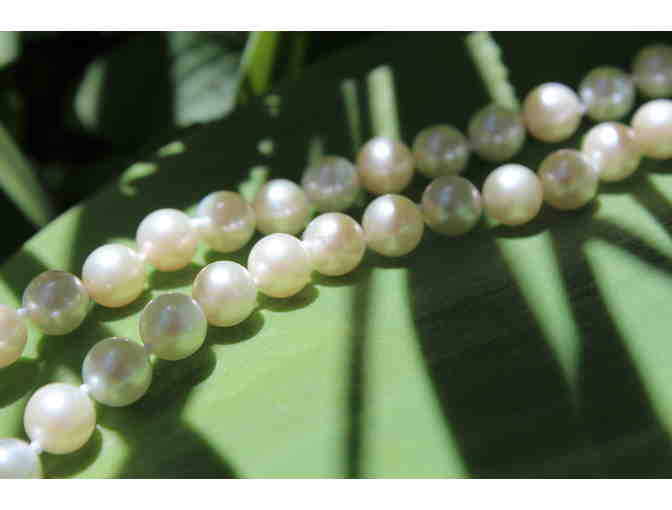 18' Strand of Akoya Saltwater Pearls