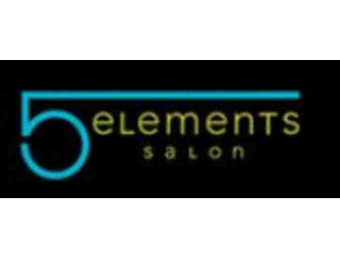 Haircut (including shampoo and blow-dry) from 5 Elements Salon!