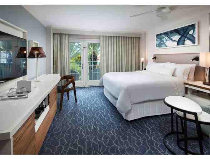 Find your Bliss in the Cayman Islands!