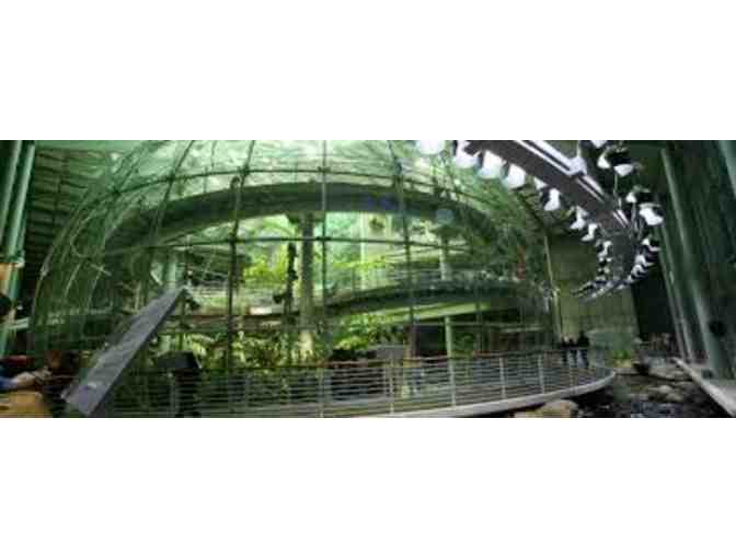 California Academy of Sciences - 4 General Admission Tickets