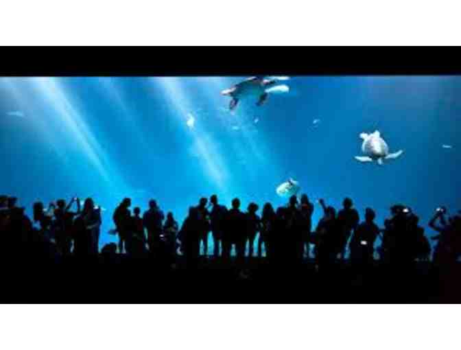 Monterey Bay Aquarium- admission for 2