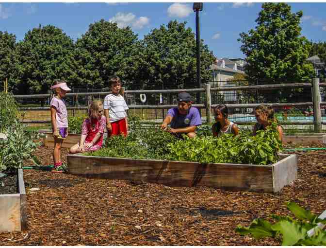 Fessenden Summer Camp - 2 Weeks of Day Camp