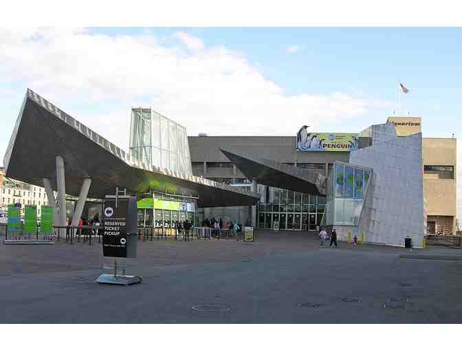 New England Aquarium Behind-the-Scenes Tour for 4 with Mason-Rice Dad Jeremy Brodt!