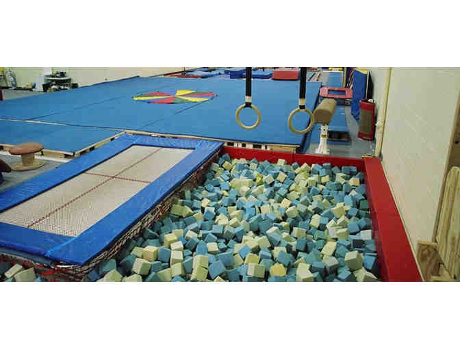 Exxcel Gymnastics and Climbing - Birthday Party!