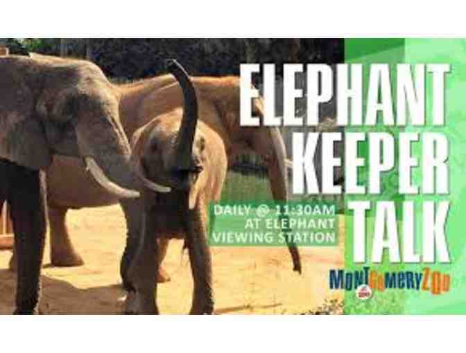 Montgomery Zoo Elephant Experience -- up to 10! Make it a Party!