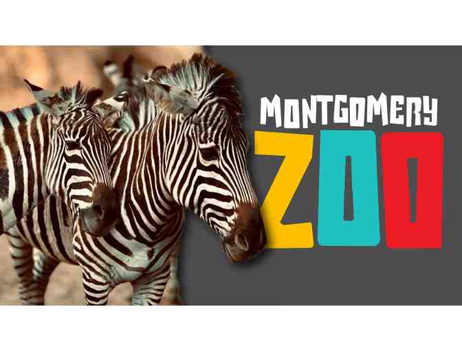 Montgomery Zoo: Zebra Birthday Party for 10! Unique & Fun !!