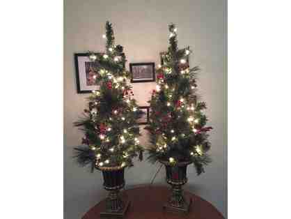 Two Pre-lit and Decorated Outdoor Trees