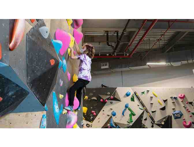 Visit pass to any VITAL Climbing Gym