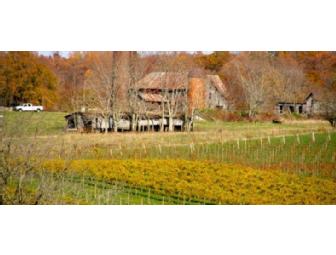 Barrel Oak Winery - Deluxe Tasting & Picnic for 6 People (#1 of 2)