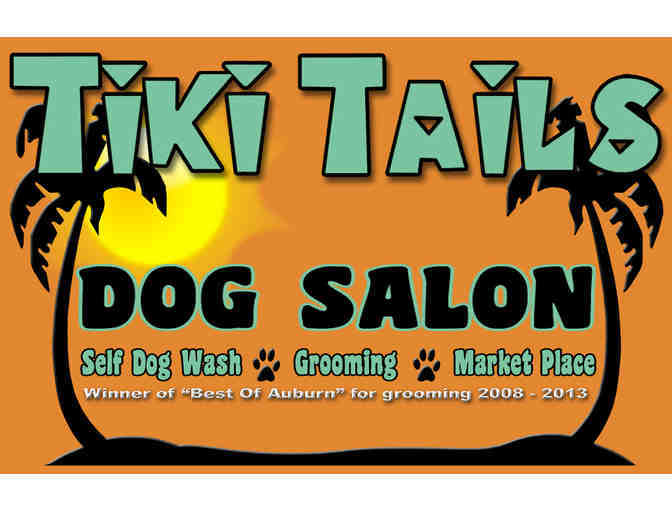Spoil Your Dog at Tiki Tails