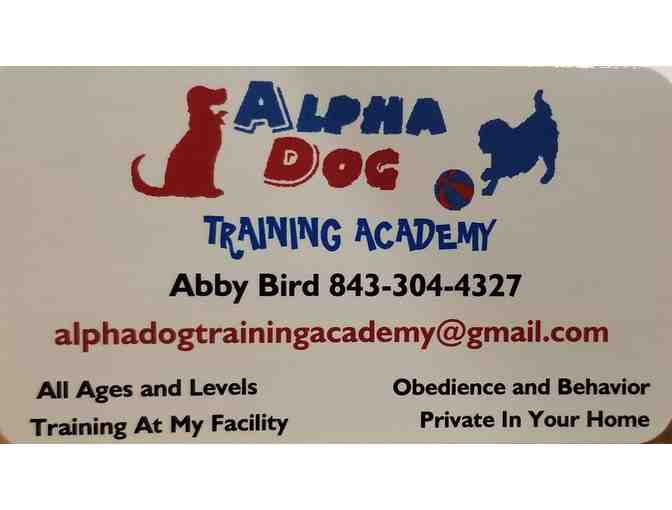 Alpha Dog Training - Photo 1