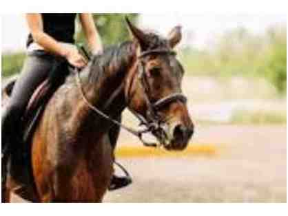Moss Creek Stables-3 Horseback Riding Lessons