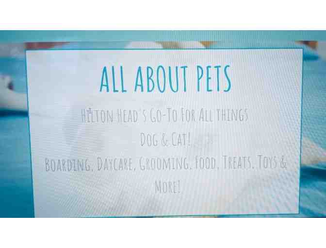 Treat Your Pup with a All About Pets Gift Certificate and Toy - Photo 2